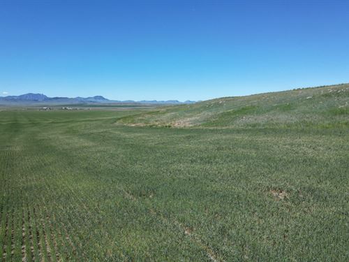 Prime 200 Acres-Ulm MT : Cascade : Montana