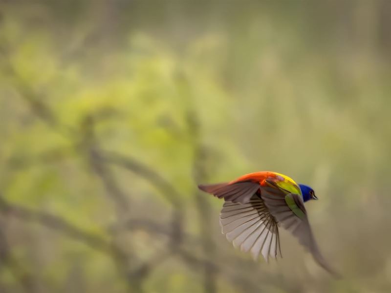 The Preserve on Sanchez Creek : Weatherford : Parker County : Texas