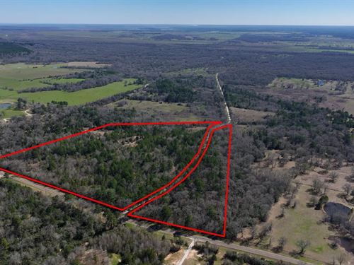 Palmetto 45 : Trinity : Walker County : Texas
