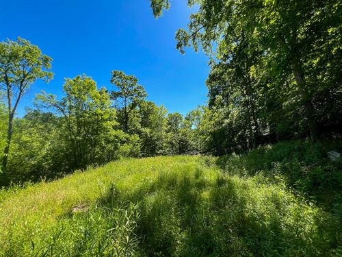 County Rd 17, 8 Acres : Rayland : Jefferson County : Ohio