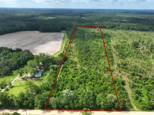 9.88 Ac Land For Sale in Wayne : Odum : Wayne County : Georgia