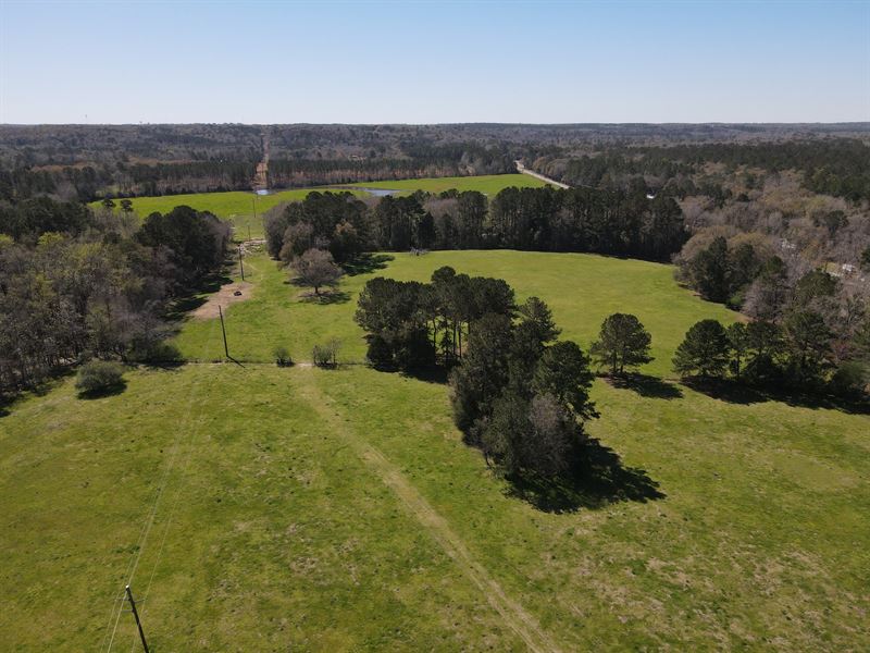 Land for Sale, Dale Co AL 133 ac : Newton : Dale County : Alabama