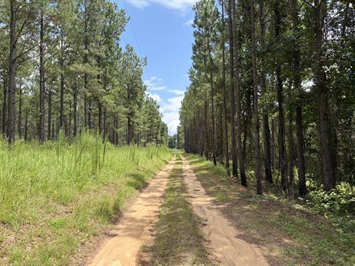 Uchee, AL 236 +/- Acres : Hatchechubbee : Russell County : Alabama