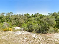 .23 Acres with Owner Terms in FL : Lake Placid : Highlands County : Florida