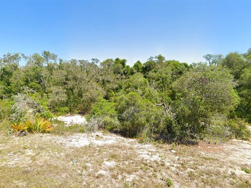 .23 Acres with Owner Terms in FL : Lake Placid : Highlands County : Florida