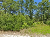 Own Your Next Chapter for $349/Mo : Lake Placid : Highlands County : Florida