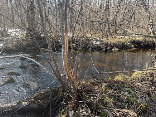 Acreage on Main Creek : Kennan : Price County : Wisconsin