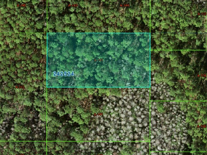 Claim Your Wilderness for $235/Mo : Polk City : Polk County : Florida