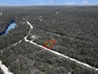 Suwannee Highlands Lot Live Oak : Live Oak : Suwannee County : Florida