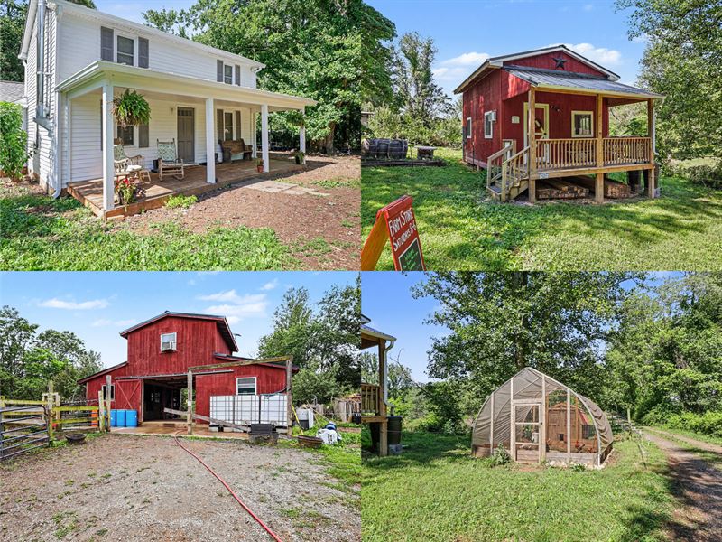 Beautiful Established Working Farm : Amissville : Culpeper County : Virginia