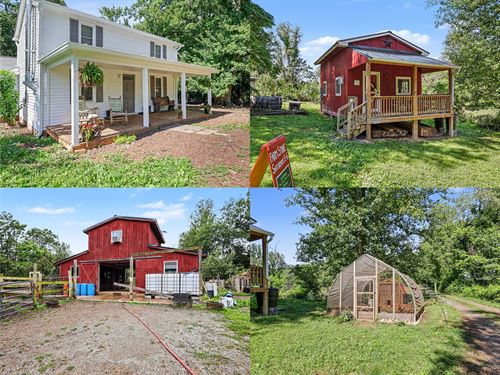 Beautiful Established Working Farm : Amissville : Culpeper County : Virginia