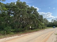 Prime Florida Lot, Easy to Build : Interlachen : Putnam County : Florida