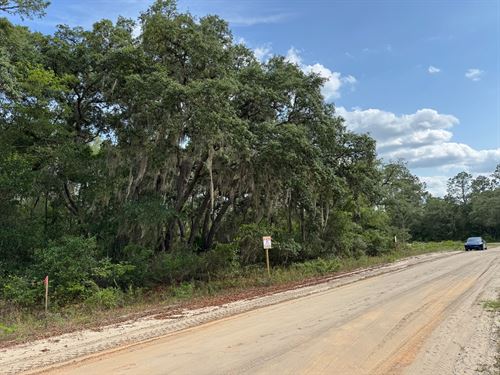 Prime Florida Lot, Easy to Build : Interlachen : Putnam County : Florida