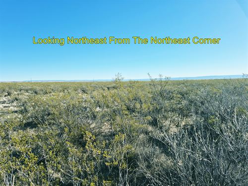 Surveyed, Graded Road, No HOA Poa : Dell City : Hudspeth County : Texas