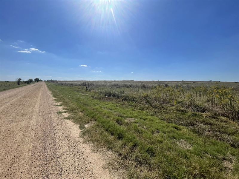 8 Acres Unrestricted Land, NO HOA : Bartlett : Williamson County : Texas