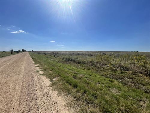 8 Acres Unrestricted Land, NO HOA : Bartlett : Williamson County : Texas