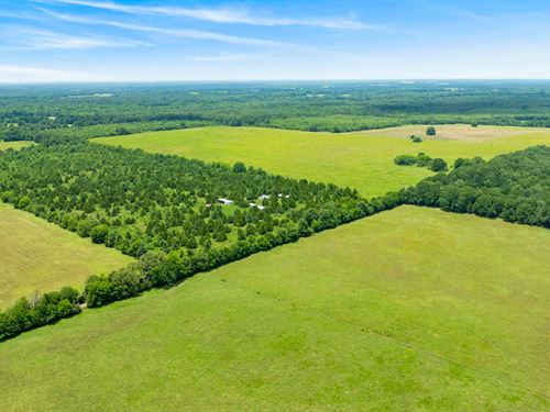 243 Acre Red River Farm : Clarksville : Red River County : Texas