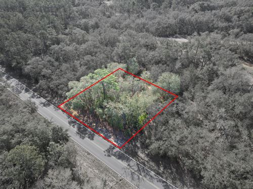 Lote DE 0,44 Acres en Florida : Interlachen : Putnam County : Florida