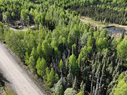 1.17 Acres in Willow, Alaska : Willow : Matanuska-Susitna Borough : Alaska