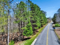 Wooded Residential Lot : Oneonta : Blount County : Alabama