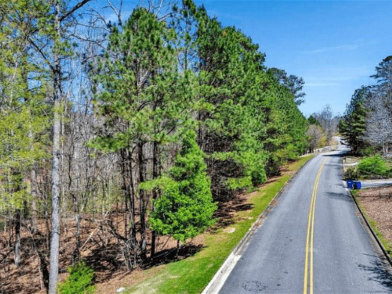 Wooded Residential Lot : Oneonta : Blount County : Alabama