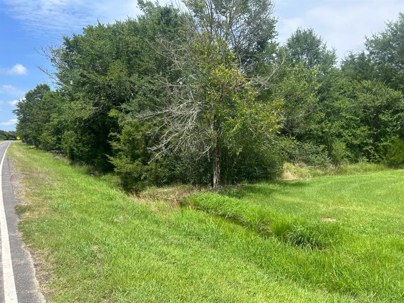 28 Acres in Franklin Parish, LA : Winnsboro : Franklin Parish : Louisiana