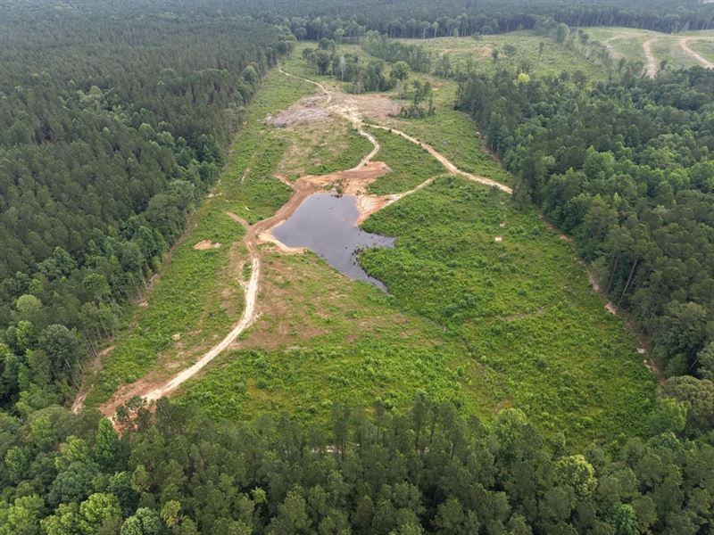 60.7 Acres in Smith County, MS : Pulaski : Smith County : Mississippi