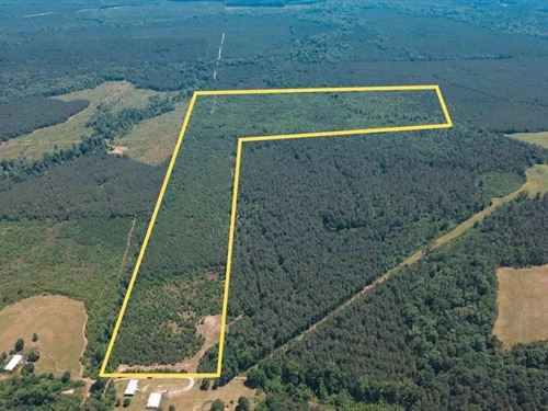 Weston 112, Timber & Hunting Land : Weston : Jackson Parish : Louisiana