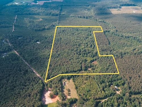 Weston 53, Timber & Hunting Land : Weston : Jackson Parish : Louisiana
