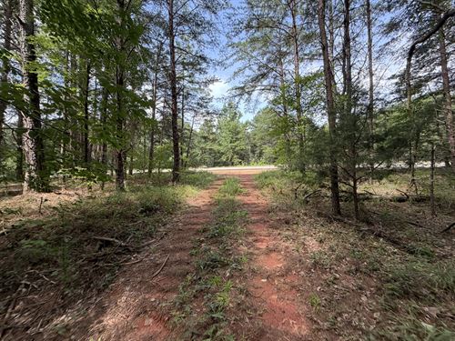 Wyatt Creek Hunting Tract $2,500/Ac : Wiley : Tuscaloosa County : Alabama