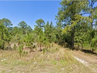 A Florida Homesite on 0.20 Acres : Lake Placid : Highlands County : Florida