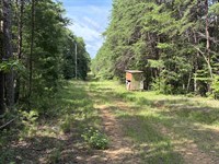 Goodwater Rd. Hunting Property : Northport : Tuscaloosa County : Alabama