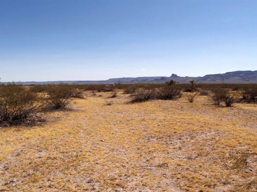 An Acre to Call Your Own : Golden Valley : Mohave County : Arizona