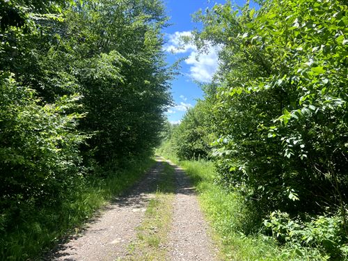 Bordering Fall Brook State Forest : Annsville : Oneida County : New York