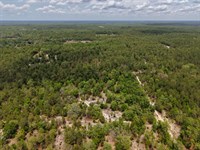 Your Florida Escape Starts Here : Hawthorne : Putnam County : Florida