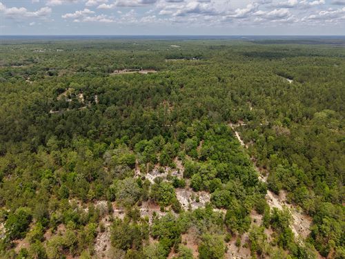 Your Florida Escape Starts Here : Hawthorne : Putnam County : Florida