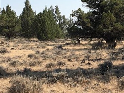 Beautiful Corner Lot Near MT Shasta : Alturas : Modoc County : California