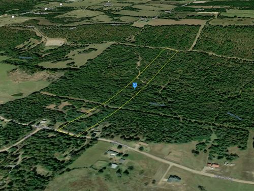 12.95 Acres in Conway County AR : Springfield : Conway County : Arkansas