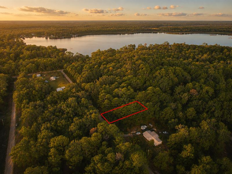 2 Minutes From The Lake : Interlachen : Putnam County : Florida
