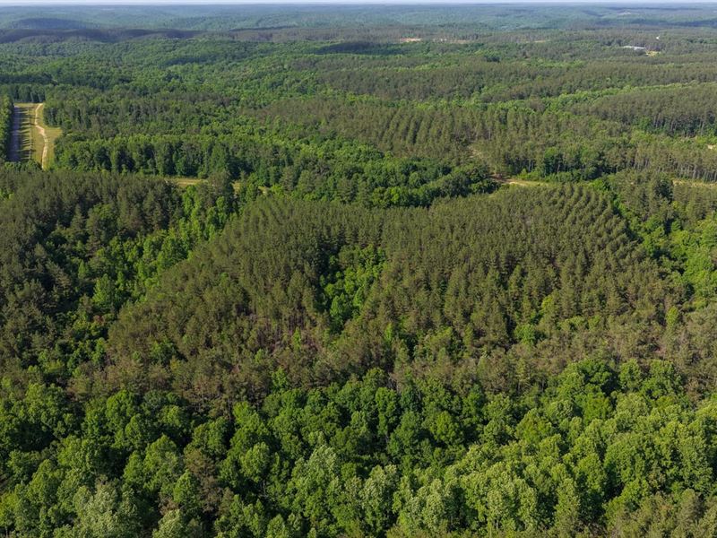 Darbytown Double Ridge : Hohenwald : Lewis County : Tennessee