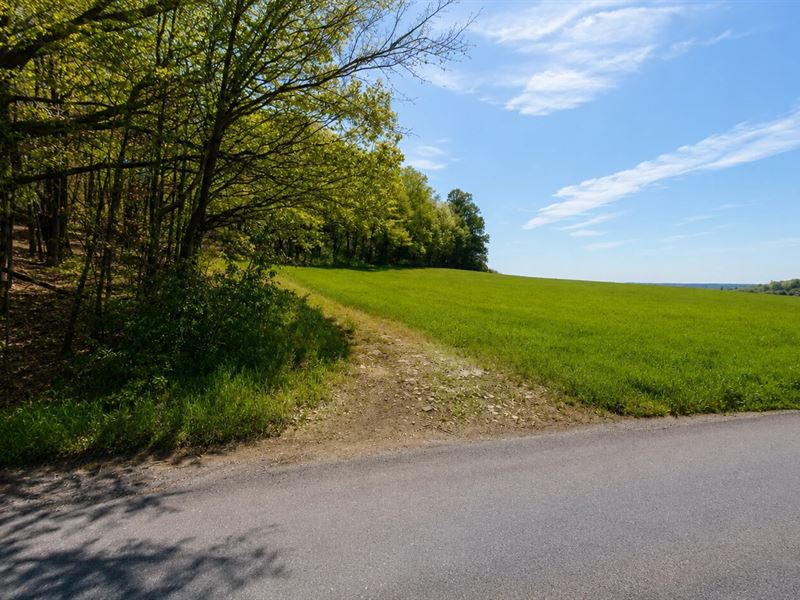 Wooded Farm Land in Indiana PA : Clymer : Indiana County : Pennsylvania