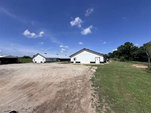 Baicor Breeder Farm : Lavonia : Franklin County : Georgia