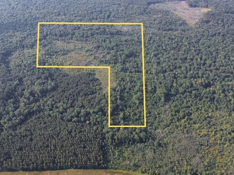 Chatham 72, Hardwood Timber & Hunt : Chatham : Jackson Parish : Louisiana