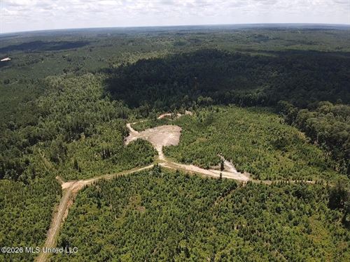 Wilkinson County MS Hunting Land fo : Crosby : Wilkinson County : Mississippi