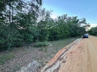 Mobile-Friendly Lot Near Lakes : Interlachen : Putnam County : Florida