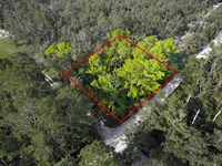 Build or Camp Near Suwannee River : Live Oak : Suwannee County : Florida