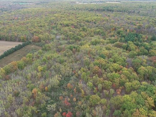 80 Acres Chippewa County : Cadott : Chippewa County : Wisconsin
