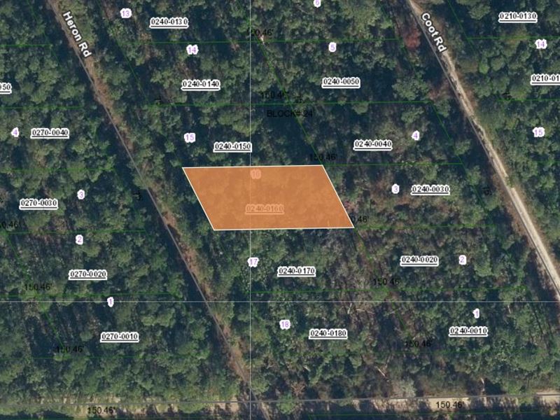 Easy Land Ownership $199 Down : Satsuma : Putnam County : Florida