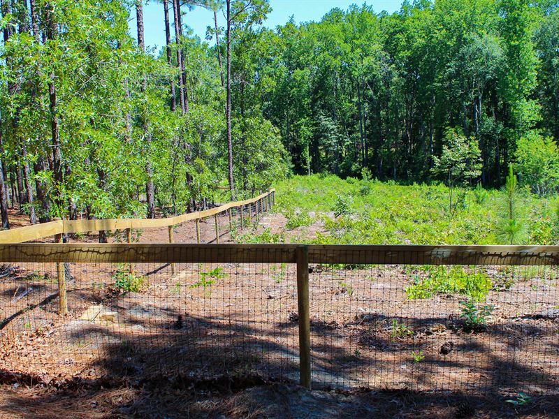1 Acre in Hoke County, NC : Raeford : Hoke County : North Carolina