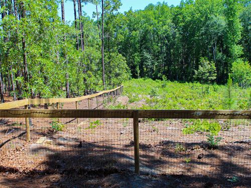 1 Acre in Hoke County, NC : Raeford : Hoke County : North Carolina